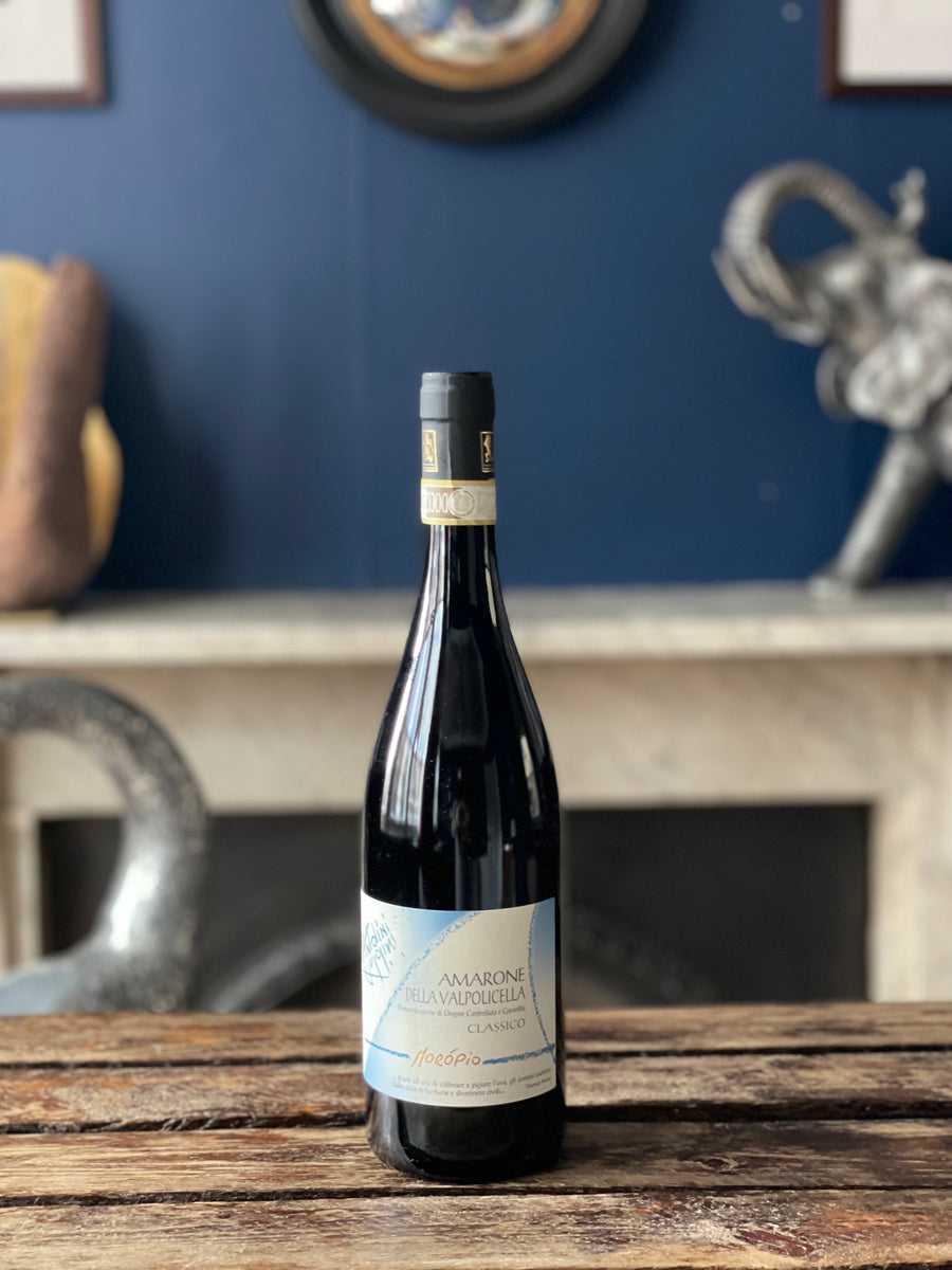 Antolini Moropio Amarone Classico Doc 2019 Veneto Passione Vino