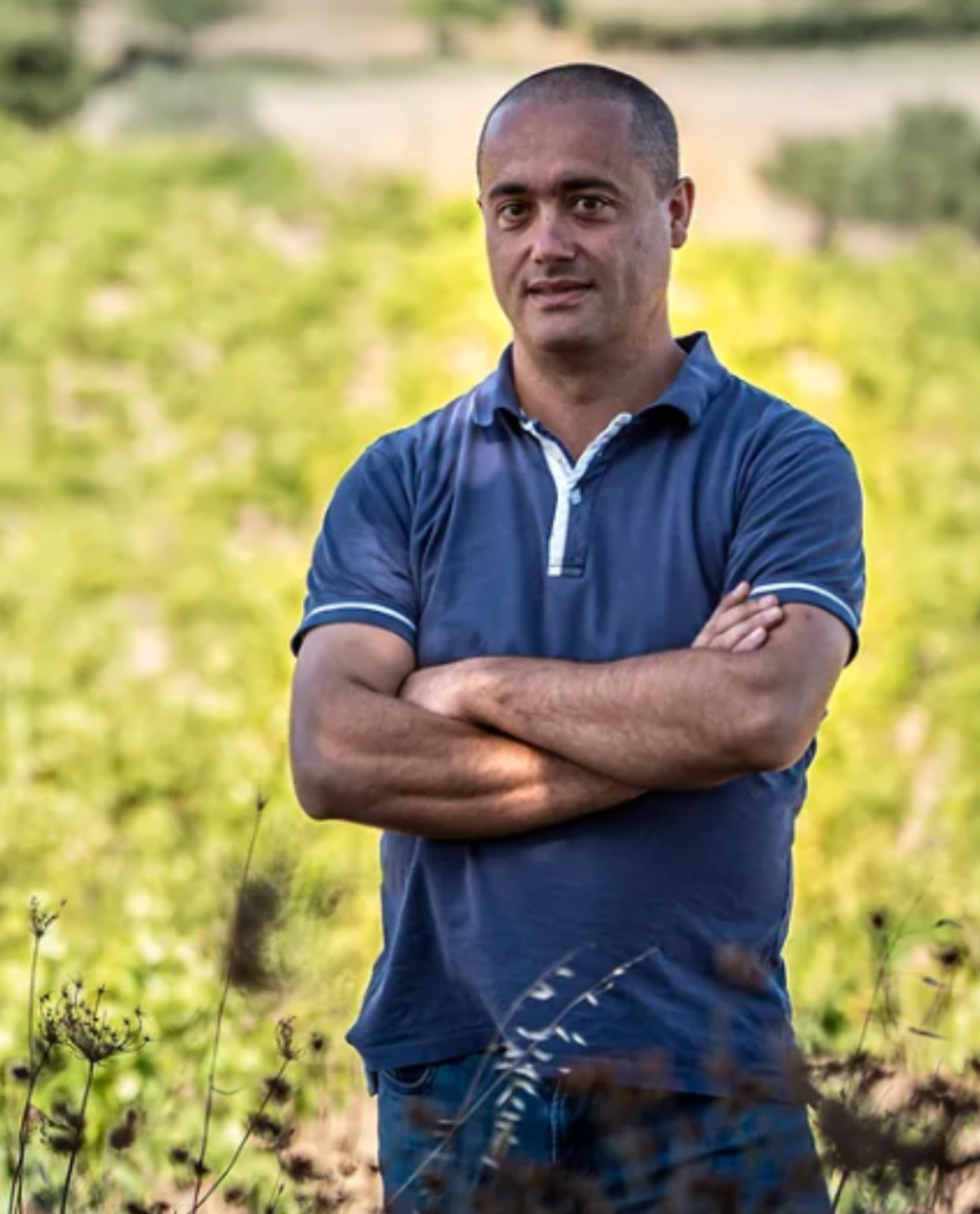 Vinzas Artas GRANATZA Barbagia Bianco IGT (2022) – Sardinia